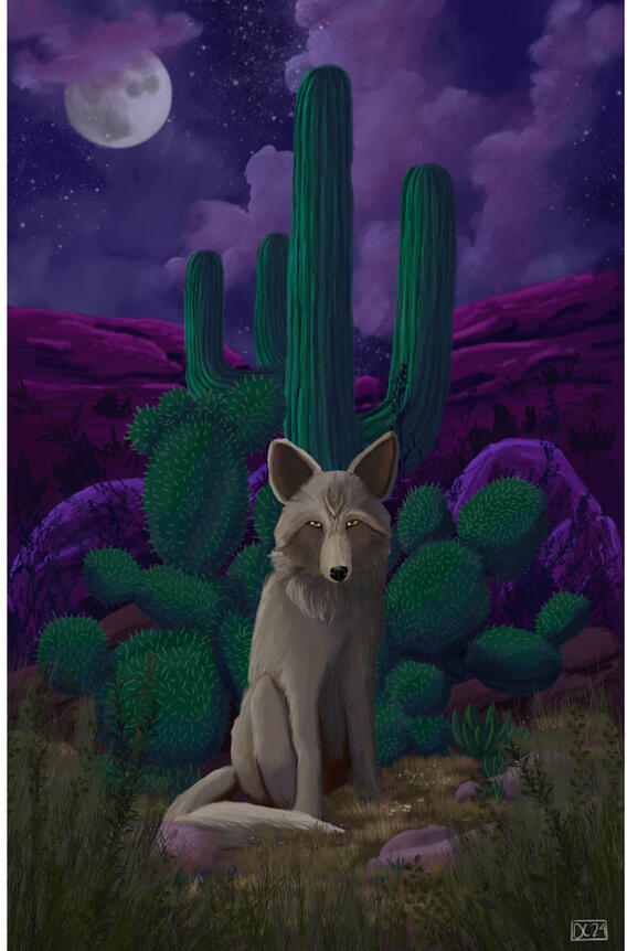 Animals