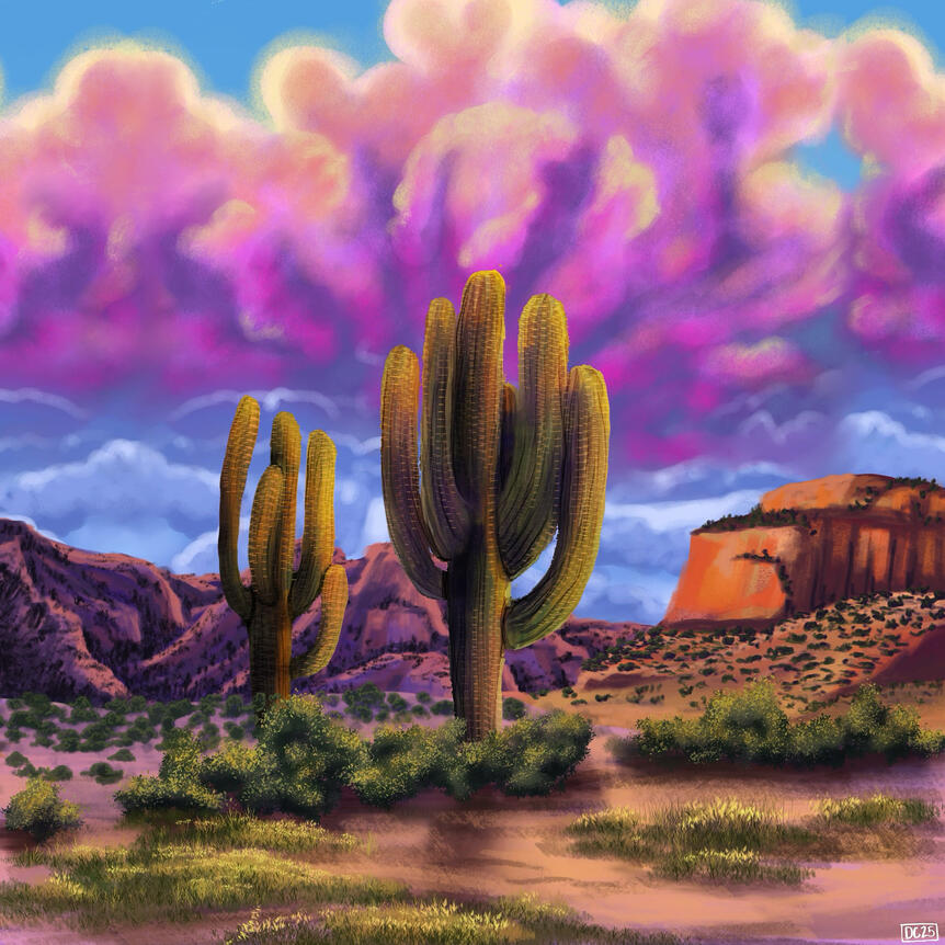 Scenery