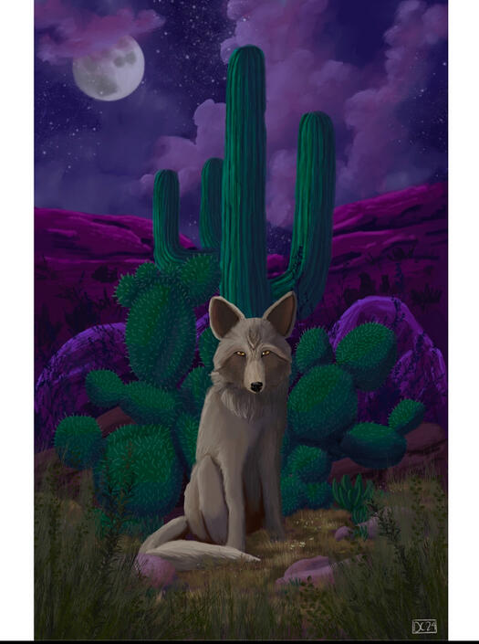 Desert Protector